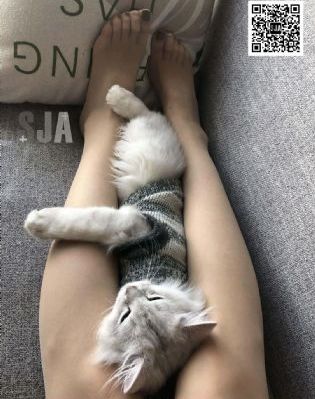 狙击之王暗杀电影在线播放_剧情片免费观看超清