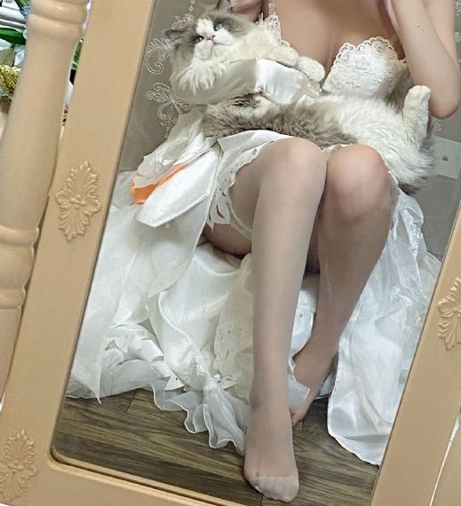 史泰龙塔尔萨之王第二季_免费观看高清版