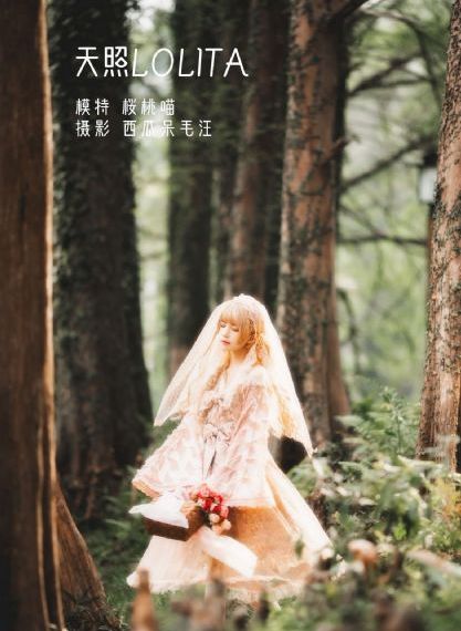 礼仪培训师_720免费观看最新